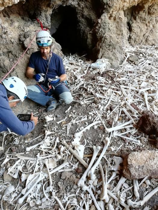 Estudios de restos óseos hallados en excavaciones prehispánicas en el sureste de Gran Canaria