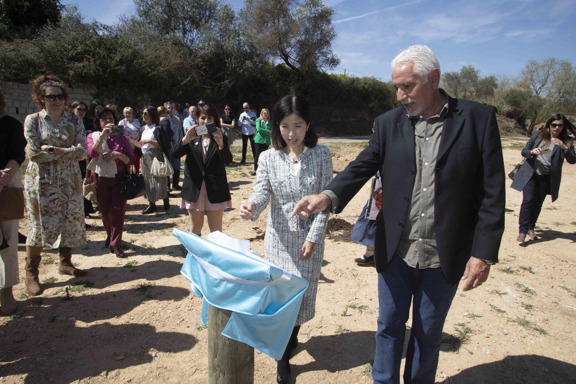 El país del sol naciente conquista Estubeny