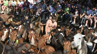 Cuspedriños supera las altas temperaturas para disfrutar de una rapa multitudinaria