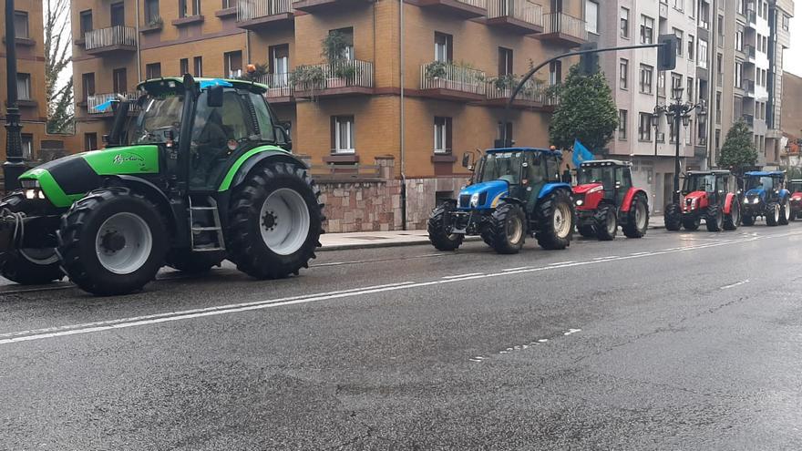 Manifestación de Asturias Ganadera en Oviedo