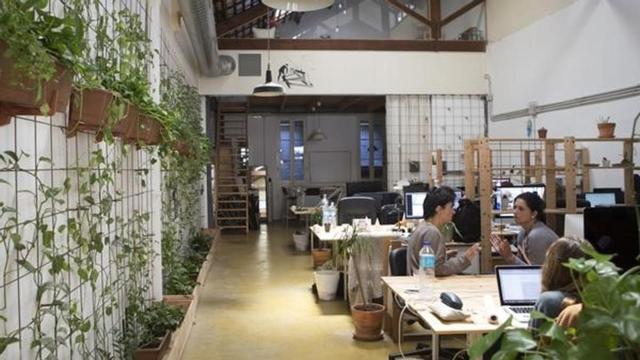 amargets33760592 barcelona 04 05 2016 dominical coworking garden atelier de l160623165041