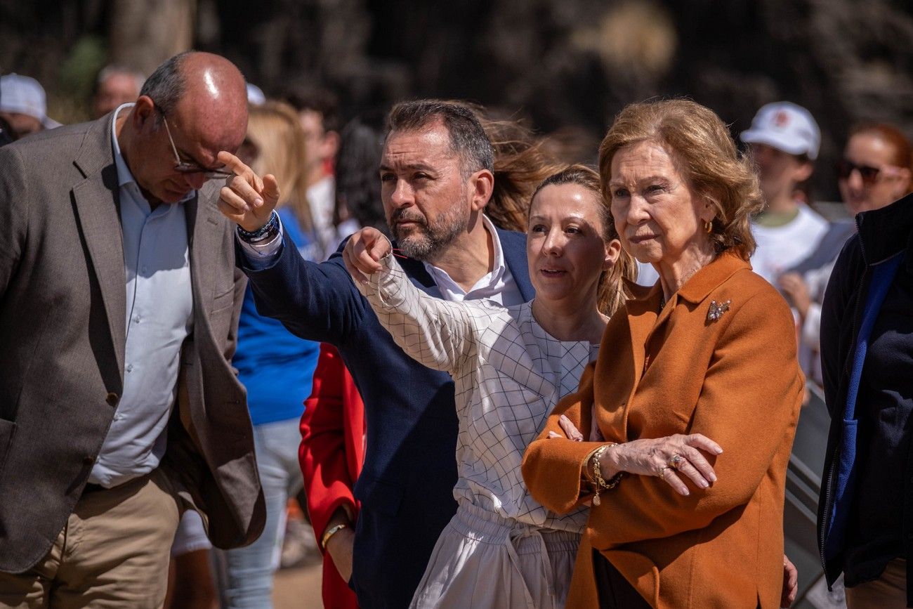 La reina Sofía asiste en Tenerife a una suelta de tortugas marinas recuperadas de lesiones