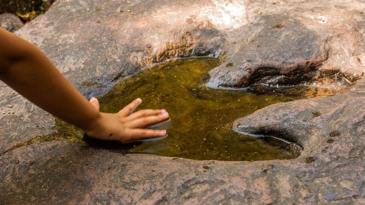 El pueblo de Zaragoza que esconde un 'Jurassic Park' entre edificios medievales