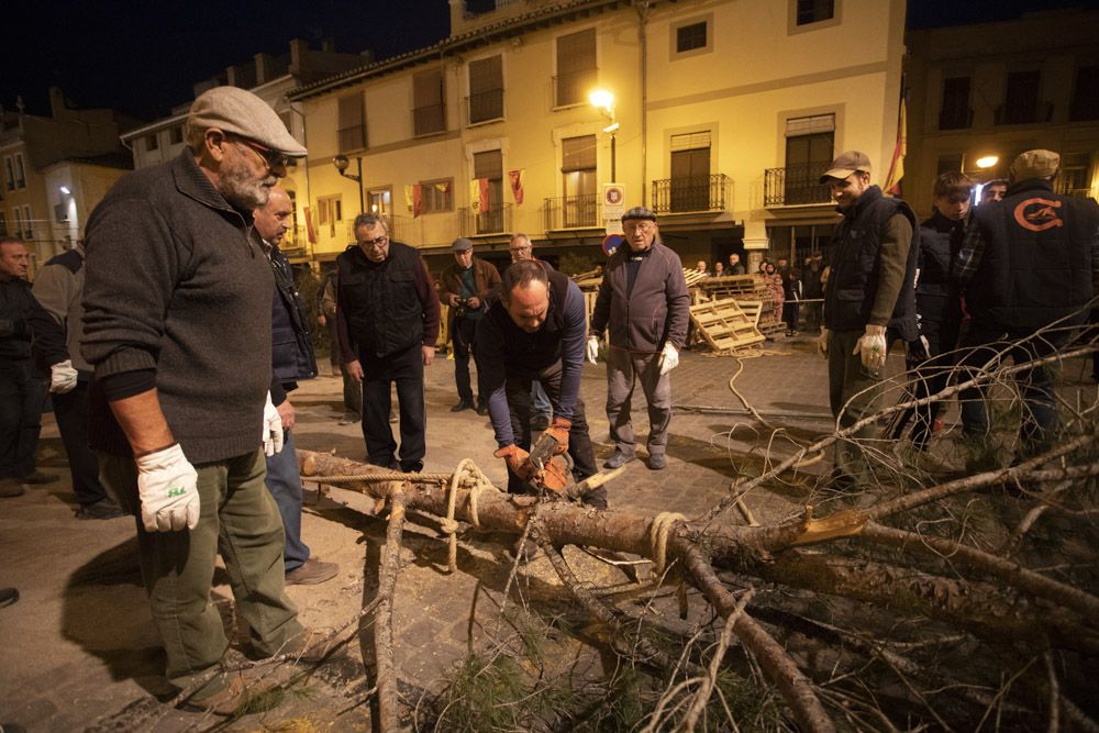 Sant Antoni arranca en Sagunt con la tradicional Plantà del Pi