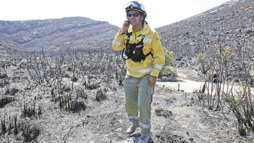 Parte de la zona arrasada por el incendio de agosto de 2013 cerca del Parc Natural de Llevant.