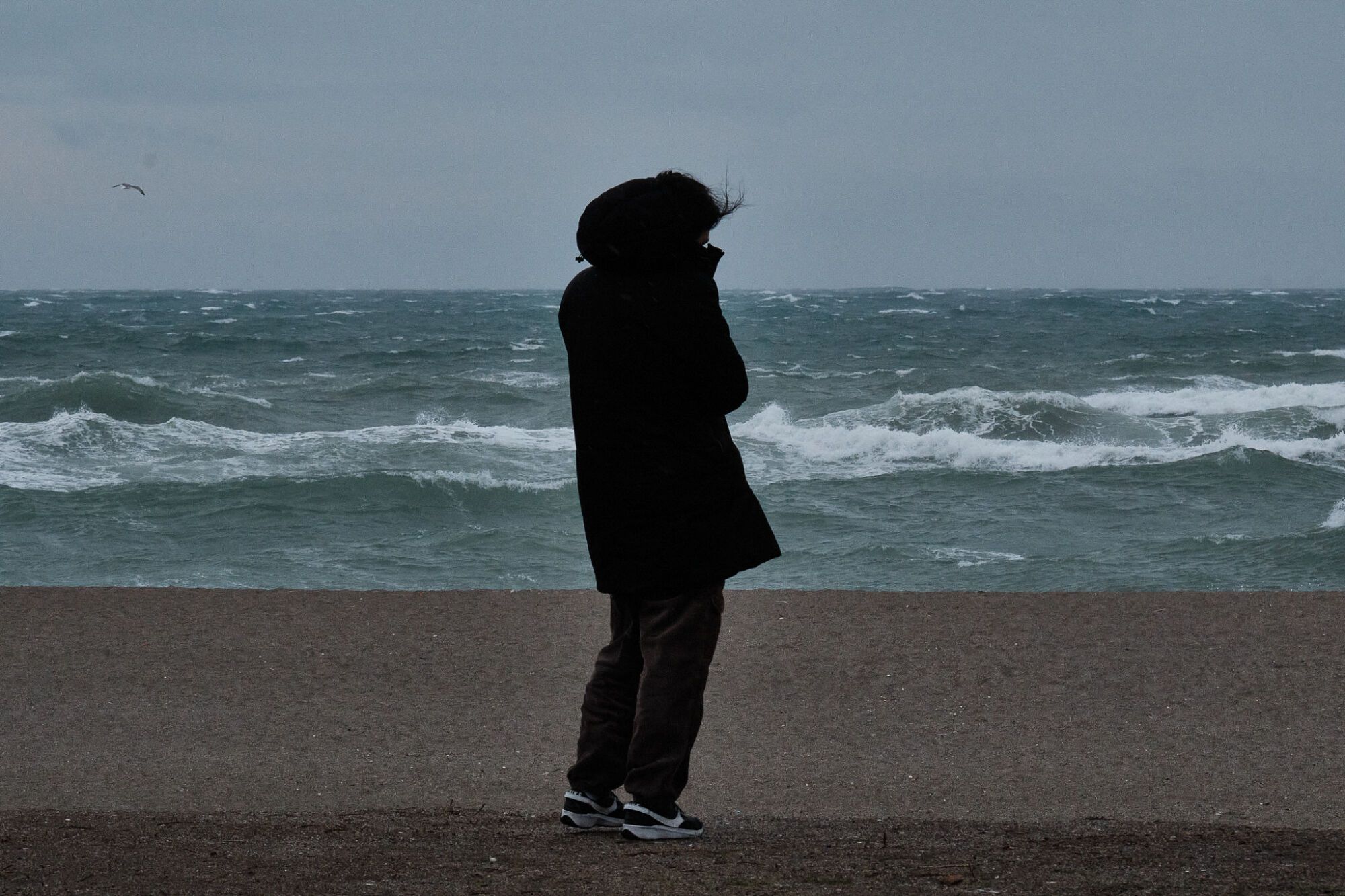 Málaga sufre los efectos del viento y la lluvia durante la alerta naranja