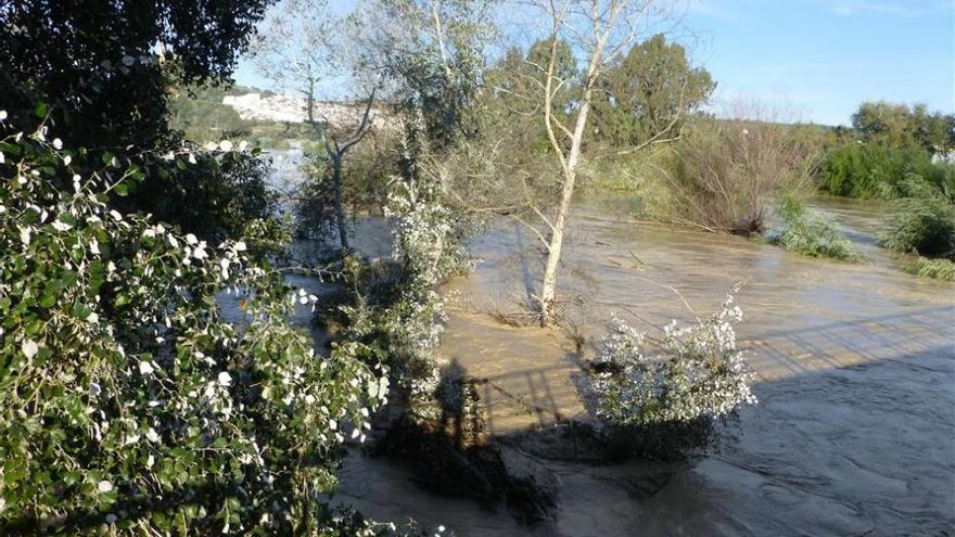 Asaja-Córdoba logra casi dos millones de euros para agricultores afectados en la riada de 2010