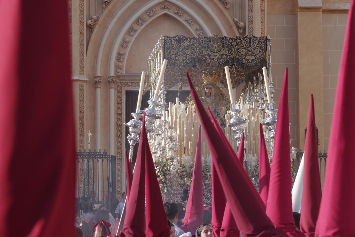 Salud I Domingo de Ramos 2025