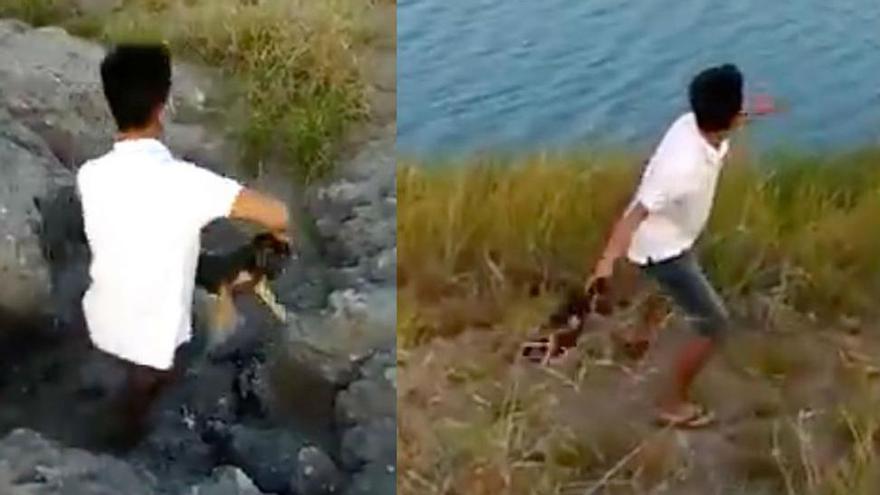 Vídeo cruel: un niño lanza un cachorro vivo al río para que se lo coma un cocodrilo