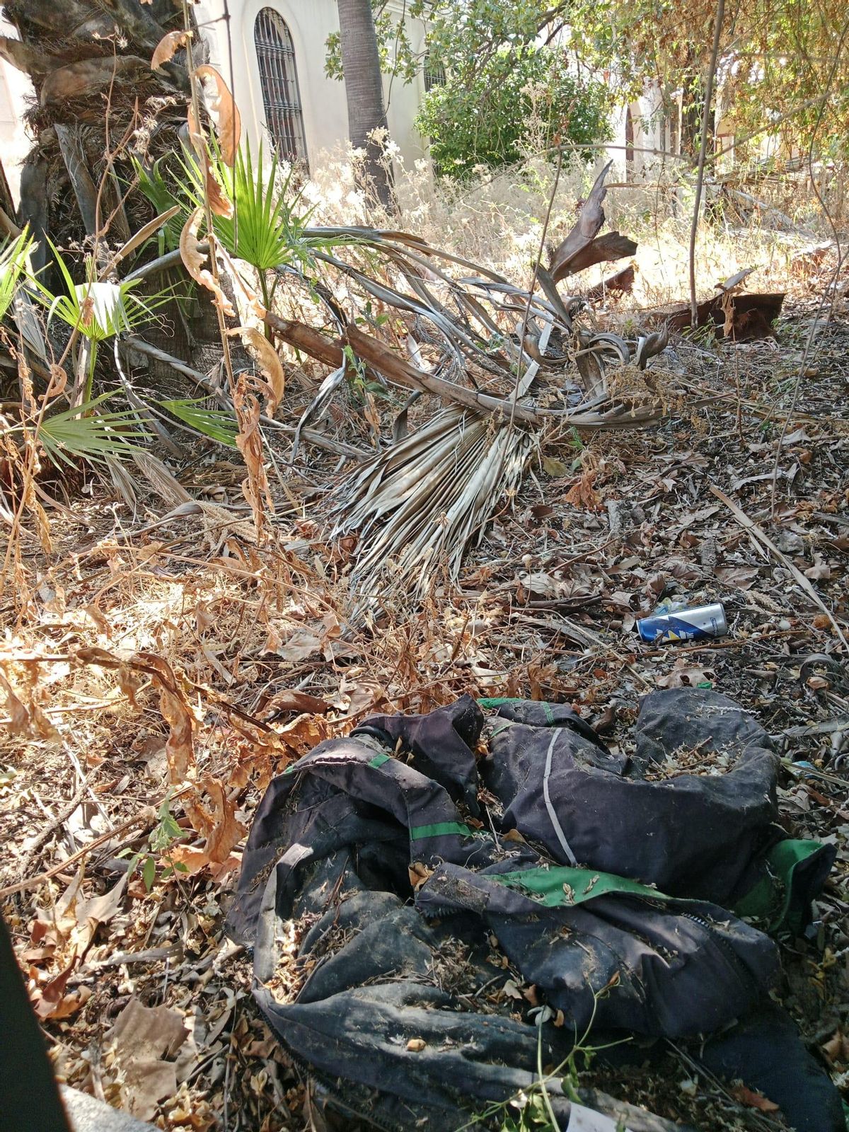 Restos de ramas, matorral y basura junto a uno de los edificios de la GMU.