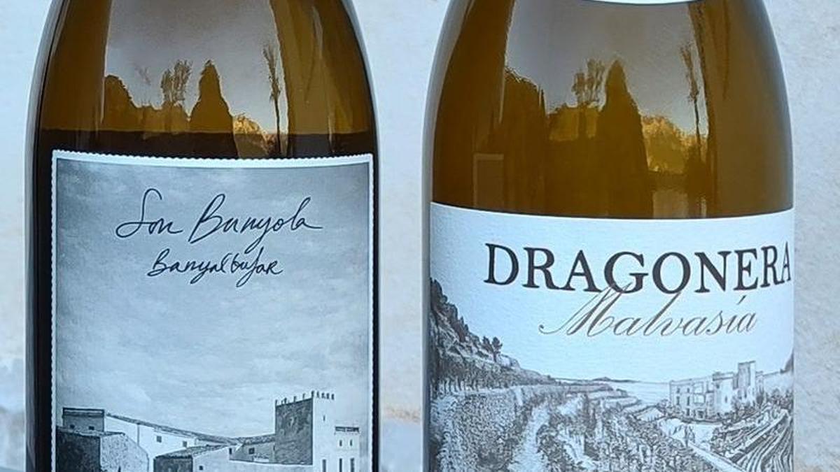 Vi i celler; Son Bunyola 2025