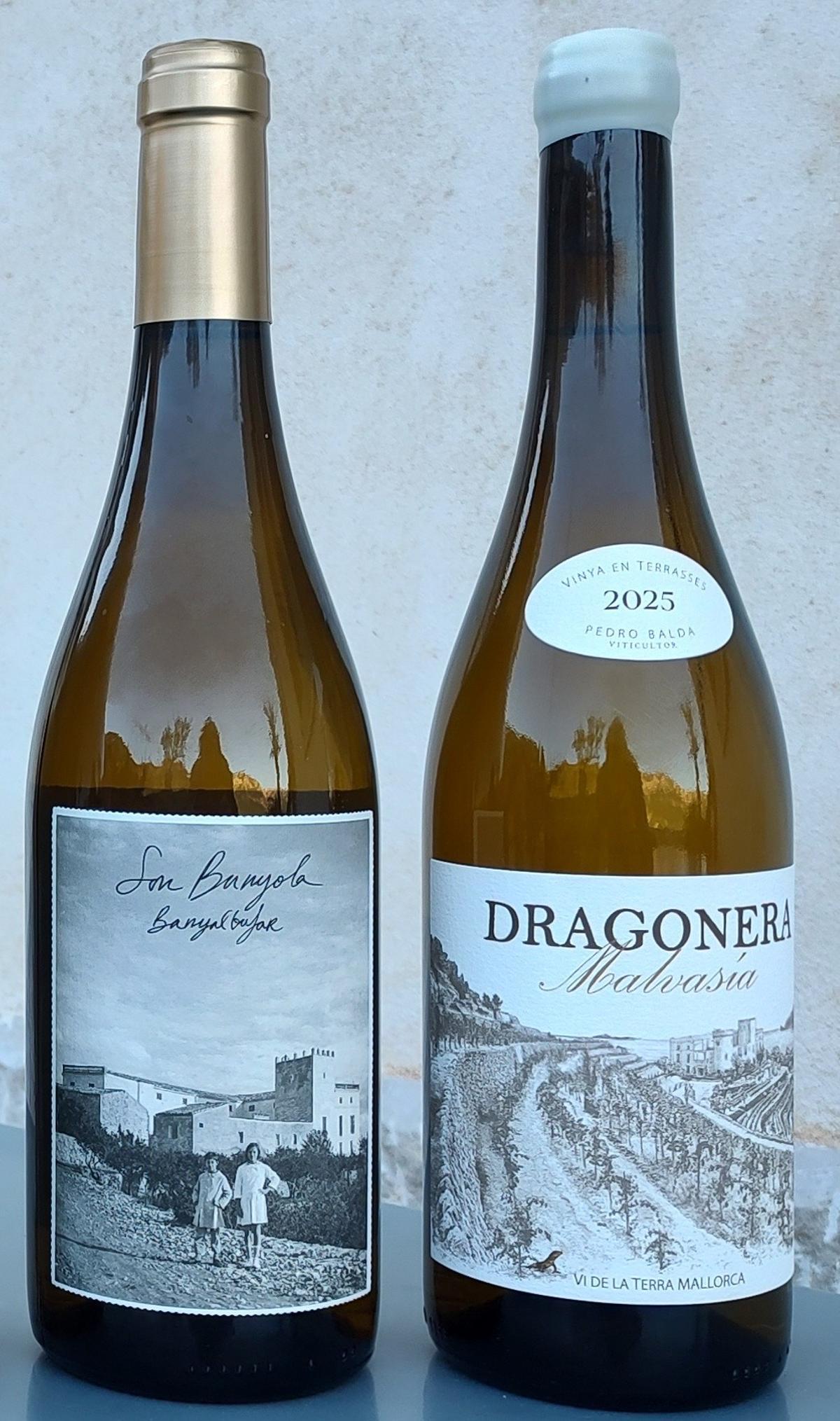 Vi i celler; Son Bunyola 2025