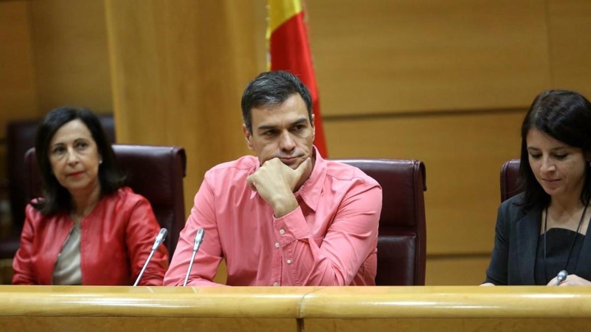 Pedro Sánchez en el Senado