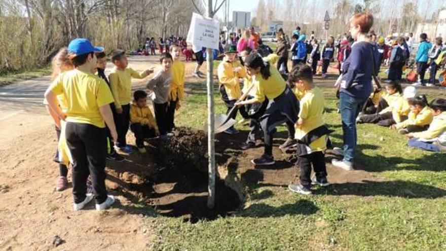 Palamós 700 alumnes a la Festa de l&#039;Arbre