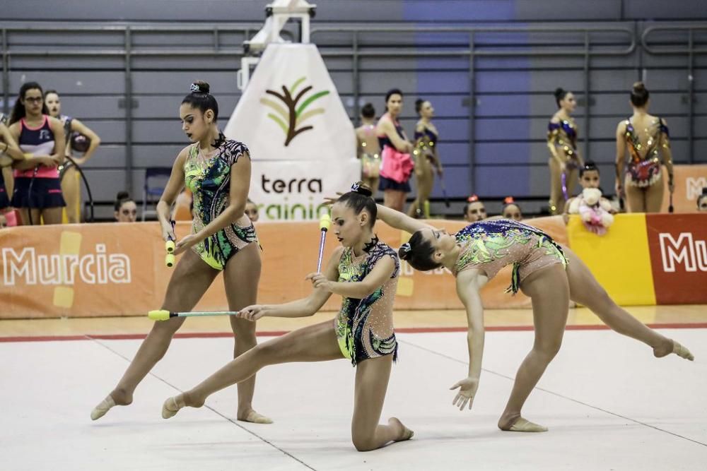 Campeonato regional de gimnasia rítmica