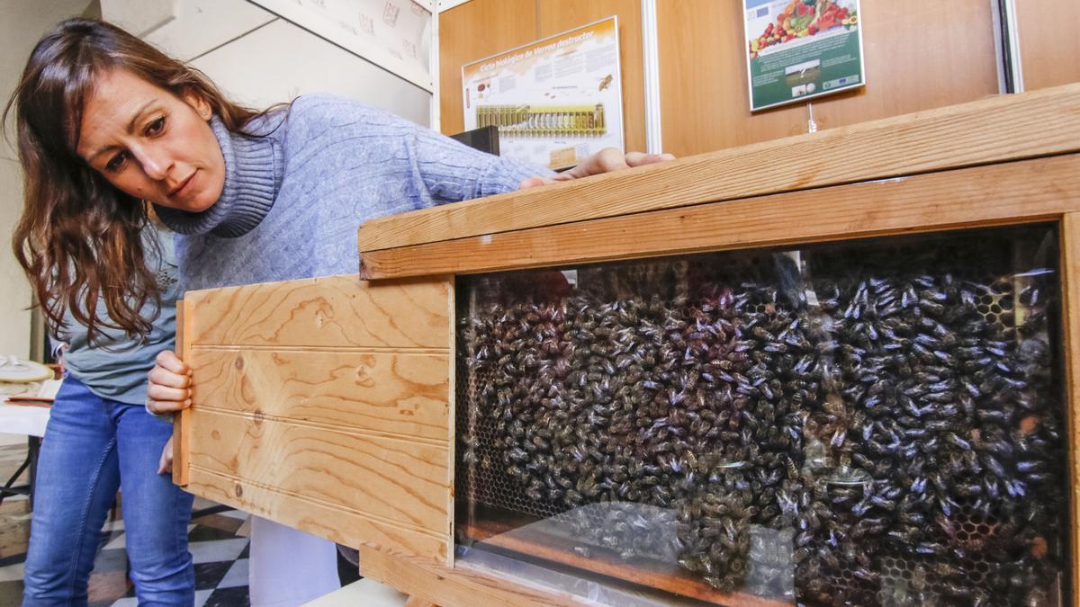 Una mujer muestra un panal de abejas en Expomiel.