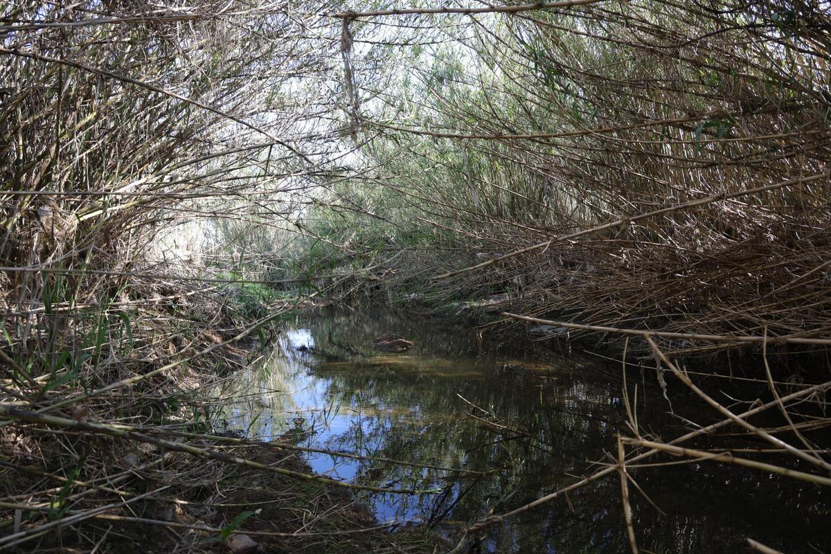 Fotogalería | Obras de mejora en la Ribera del Marco de Cáceres