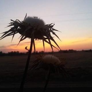 Julio, un mes agreste de sol y fuego que ataca a la tierra cuarteándola con potentes rayos.
