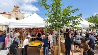 Romería y paella en la ermita para honrar por todo lo alto a la patrona de Vinaròs