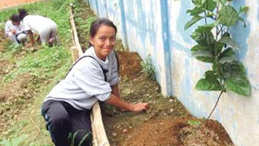 Una familia de Xàbia levanta un invernadero en Ecuador y enseña a los niños a cultivar