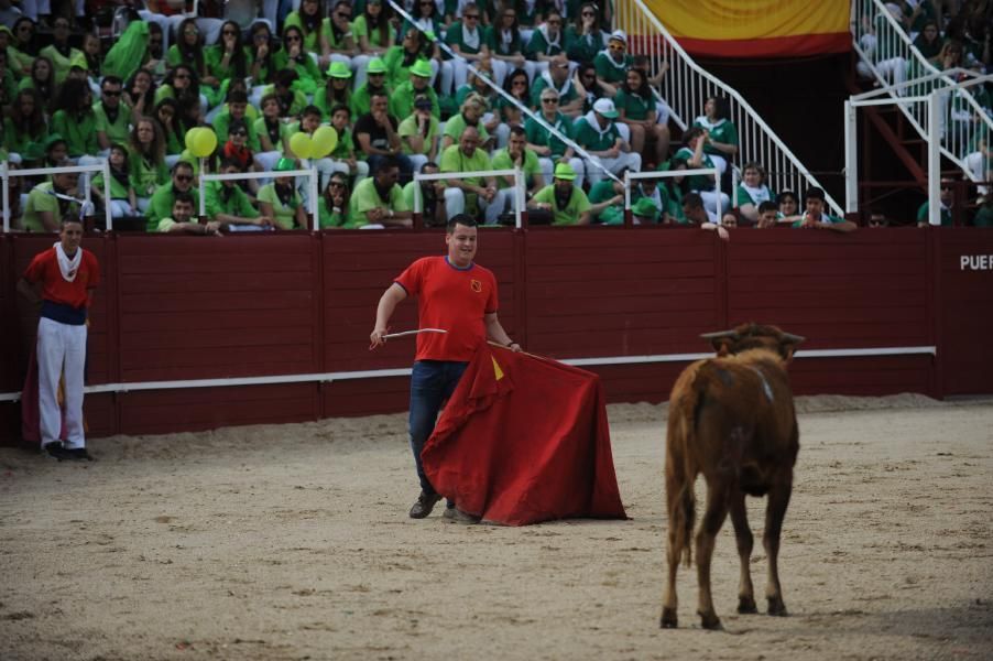 Becerrada, encierros y vaca de la sangría