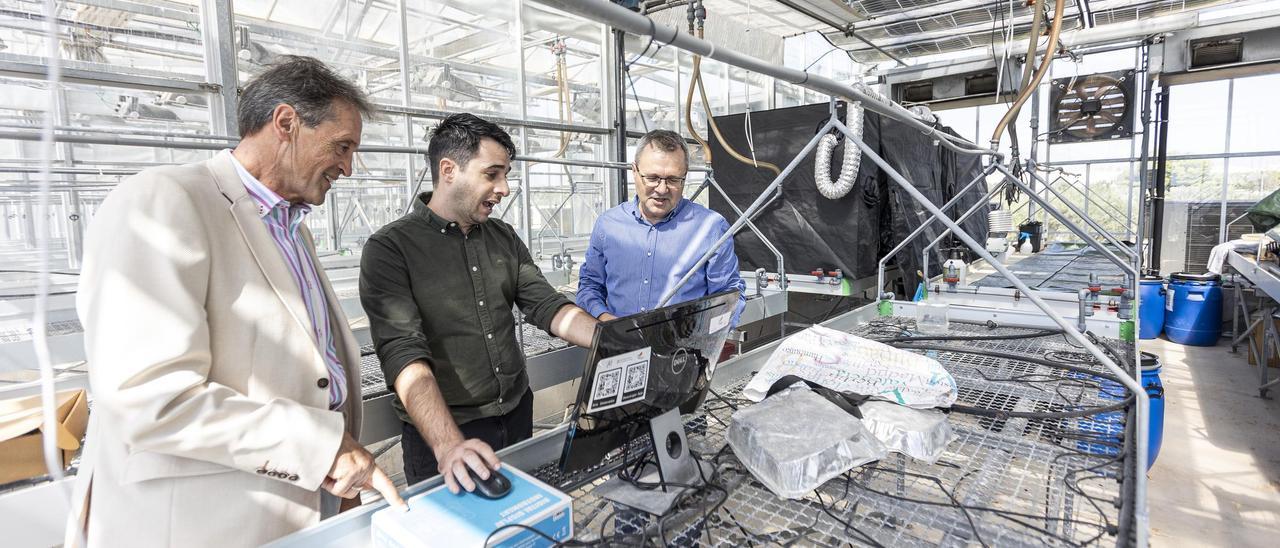 De izquierda a derecha, Juan Manuel García Chamizo, Manuel Platero Horcajadas y Francisco Javier Herrández Pastor, investigadores del proyecto.