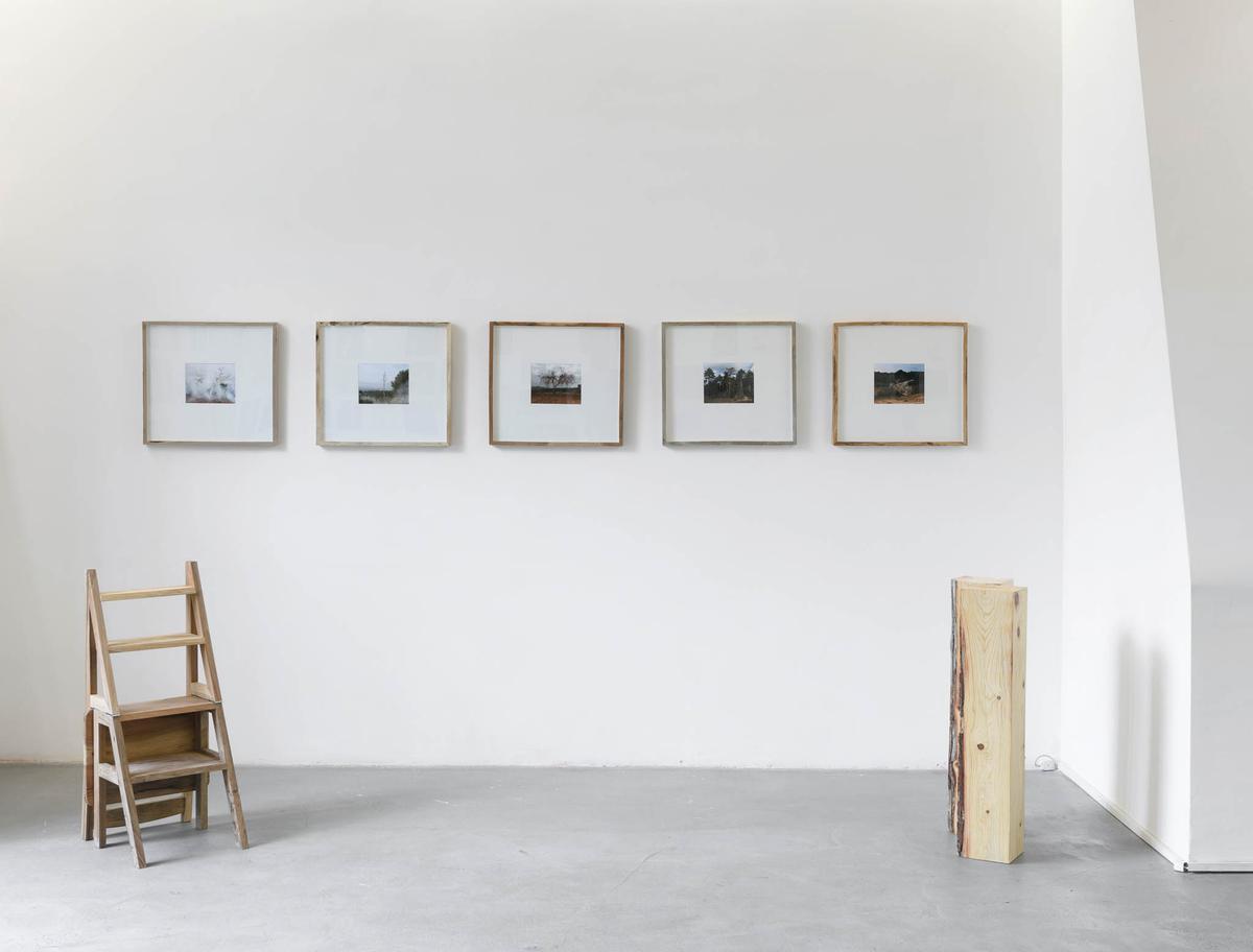 Imatge de la instal·lació de Laura Palau a la sala d'art romana.