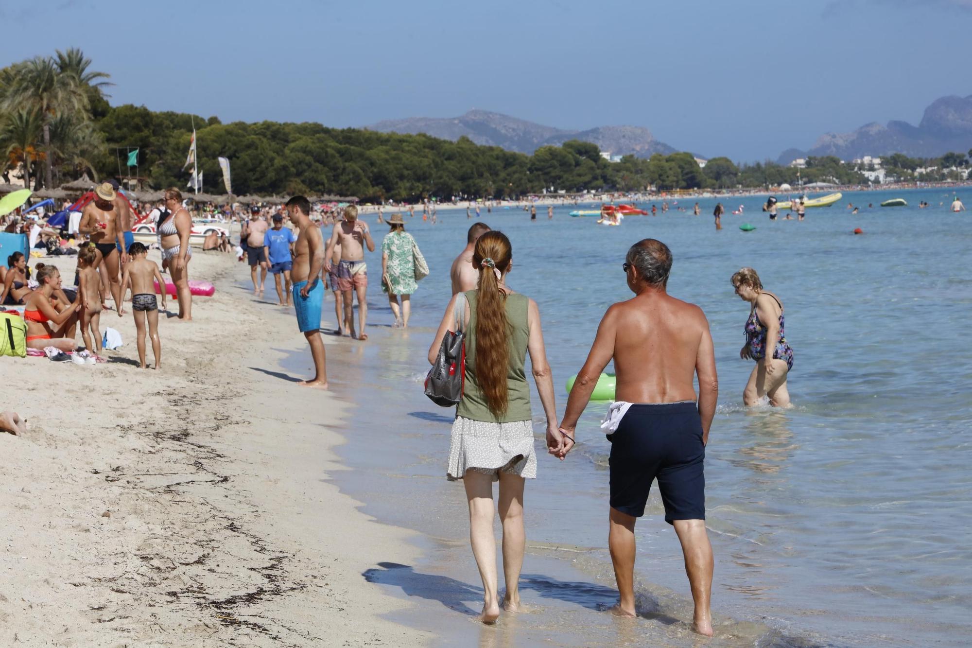 Sommer-Urlaub im Oktober: So sieht es derzeit am Strand von Alcúdia auf Mallorca aus