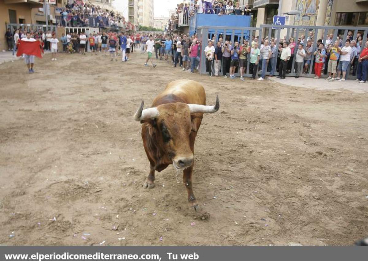 GALERÍA DE FOTOS -- El 'bou per la vila' suma un nuevo corneado