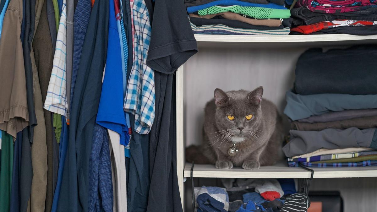 Cómo ordenar tu ropa en armarios pequeños