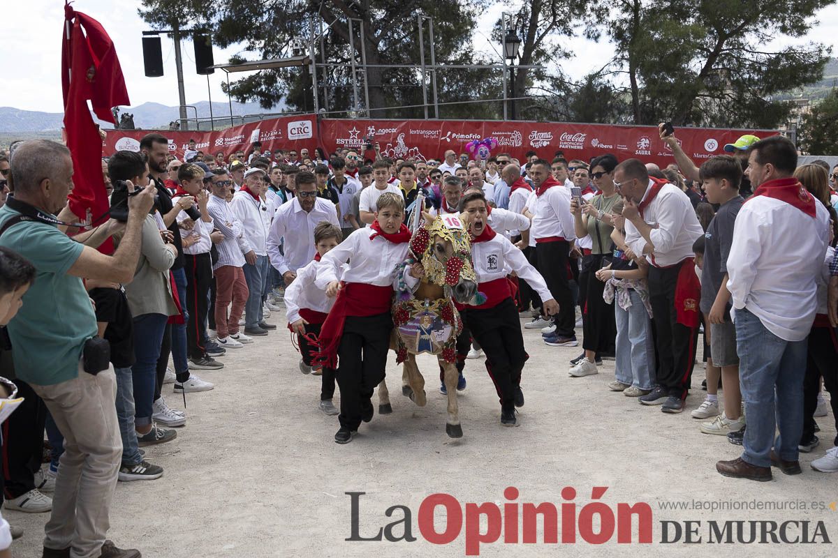 Fiestas de Caravaca | Desfile infantil del Bando de los Caballos del Vino