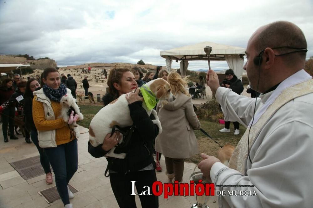 Jornada especial por San Antón en la Fortaleza del Sol de Lorca