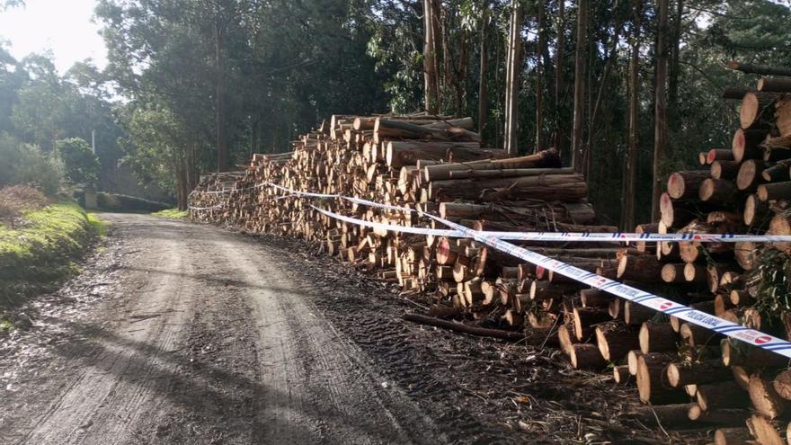 Imagen de archivo de una tala precintada por la Policía por no tener licencia, en Oleiros. | LOC