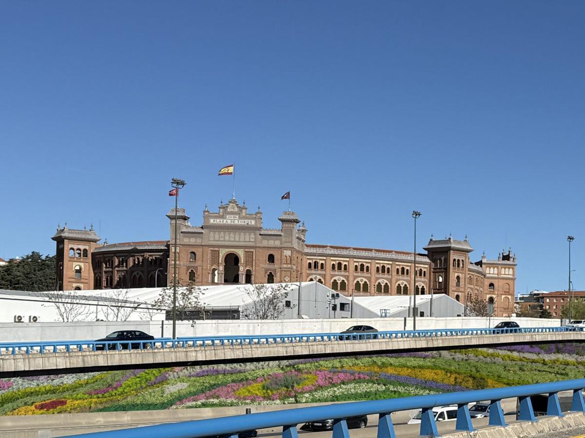 Recreación jardines verticales en la zona de las Ventas