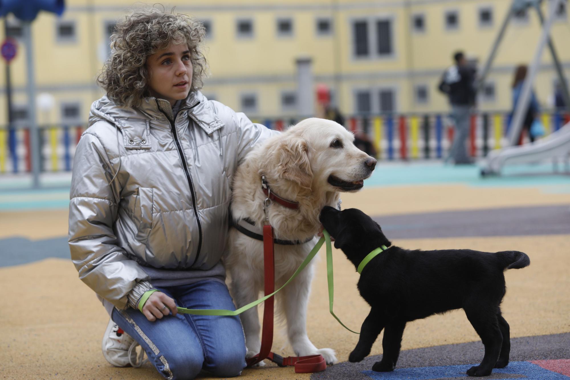 Carmen López, la primera invidente de Europa con título para entrenar perros guía