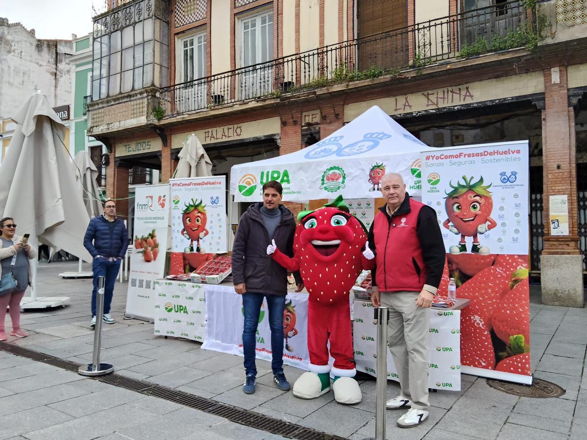 Galería | Reparto de fresas en la Plaza de España de Mérida, un acto de UPA-UCE