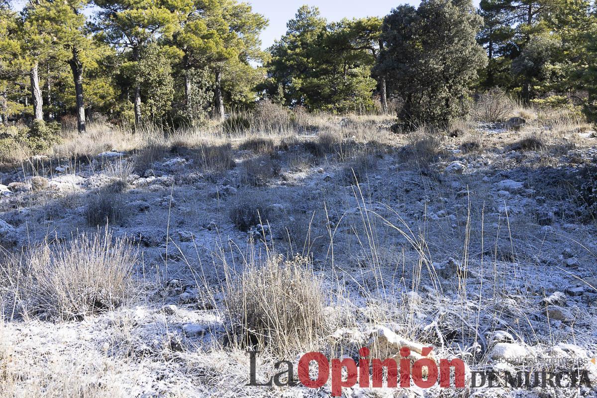 Nieve en la Región de Murcia Nieve en la Región de Murcia