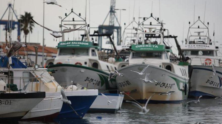 La pesca de Castellón alerta de un colapso si Europa reduce jornadas