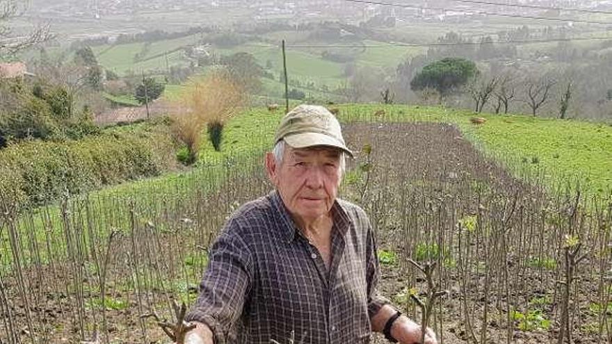 Javier Estrada, en su plantación de Bedriñana.