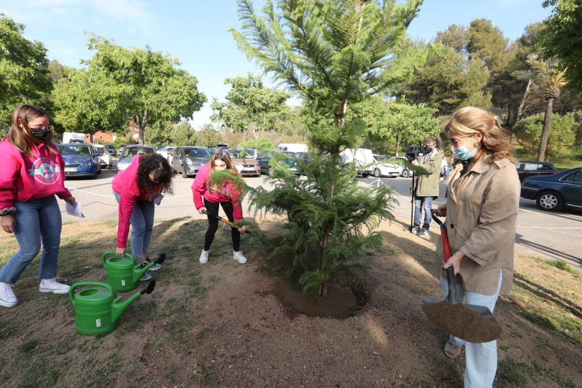 L’oposició municipal de Gavà no assisteix a la plantació simbòlica d’un arbre per Europa