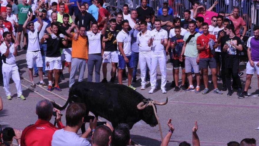 Carrera del Toro Enmaromado