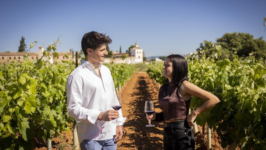 Bodega Sierra Norte: ecología, sostenibilidad y pasión por el vino