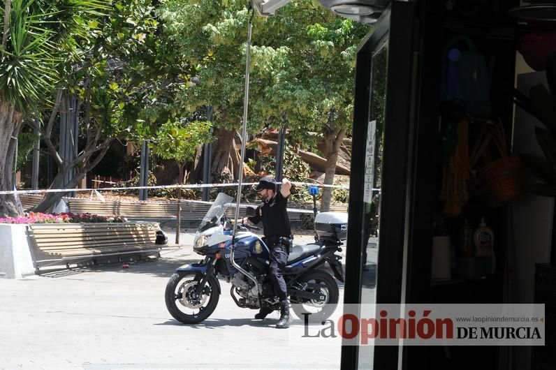 Cae parte del ficus de Santo Domingo en Murcia