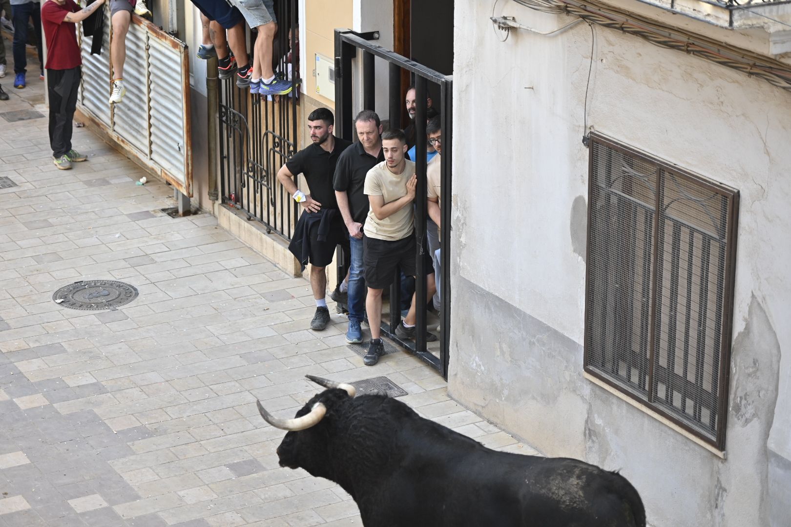 Galería | Primera tarde de toros en Almassora