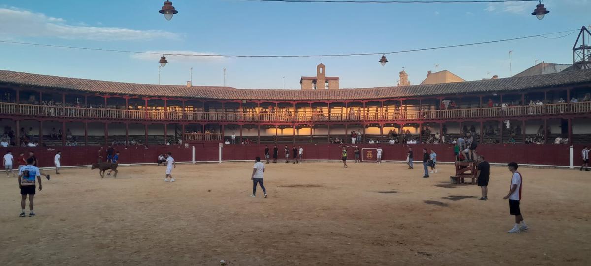 GALERÍA | La Fuente de Vino en la plaza de toros de Toro, en imágenes