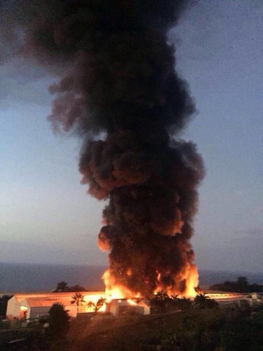Incendio en un invernadero de Tacoronte (Tenerife)