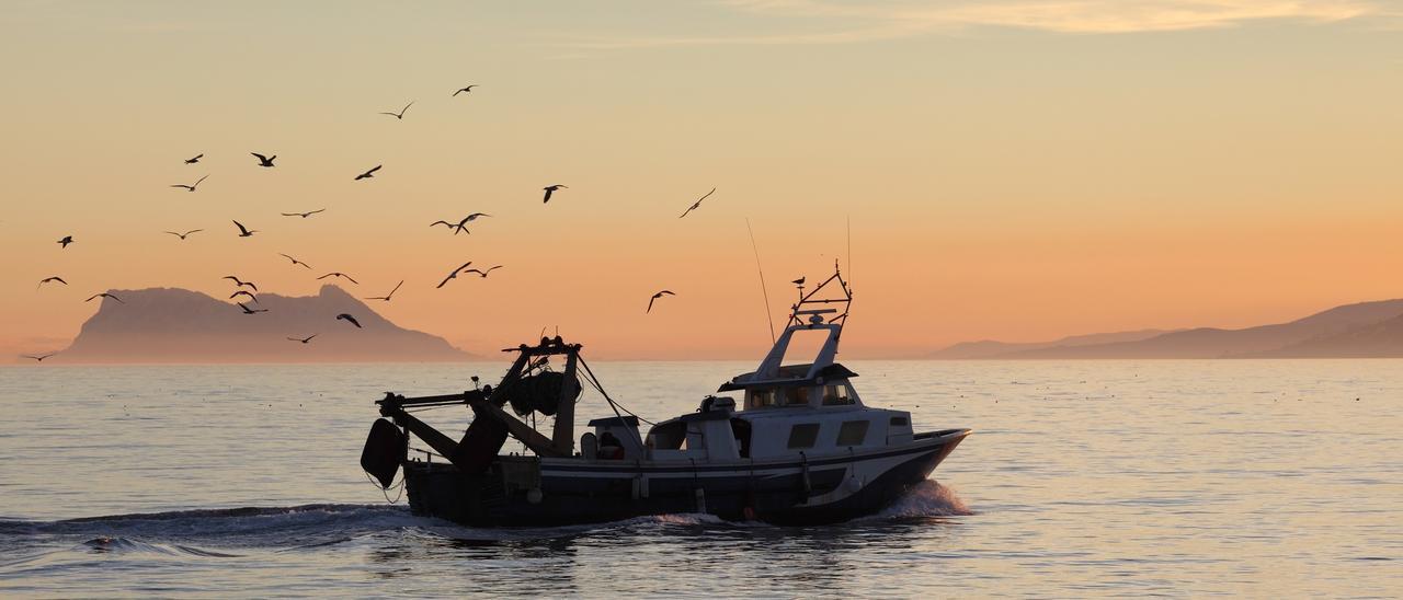 Economía/Pesca.- España consigue aumentar la cuota de pesca de caballa, jurel, alfonsinos y rape de Gran Sol de 2021