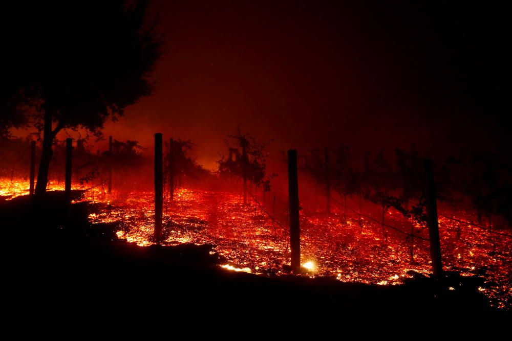 Incendis forestals a Califòrnia