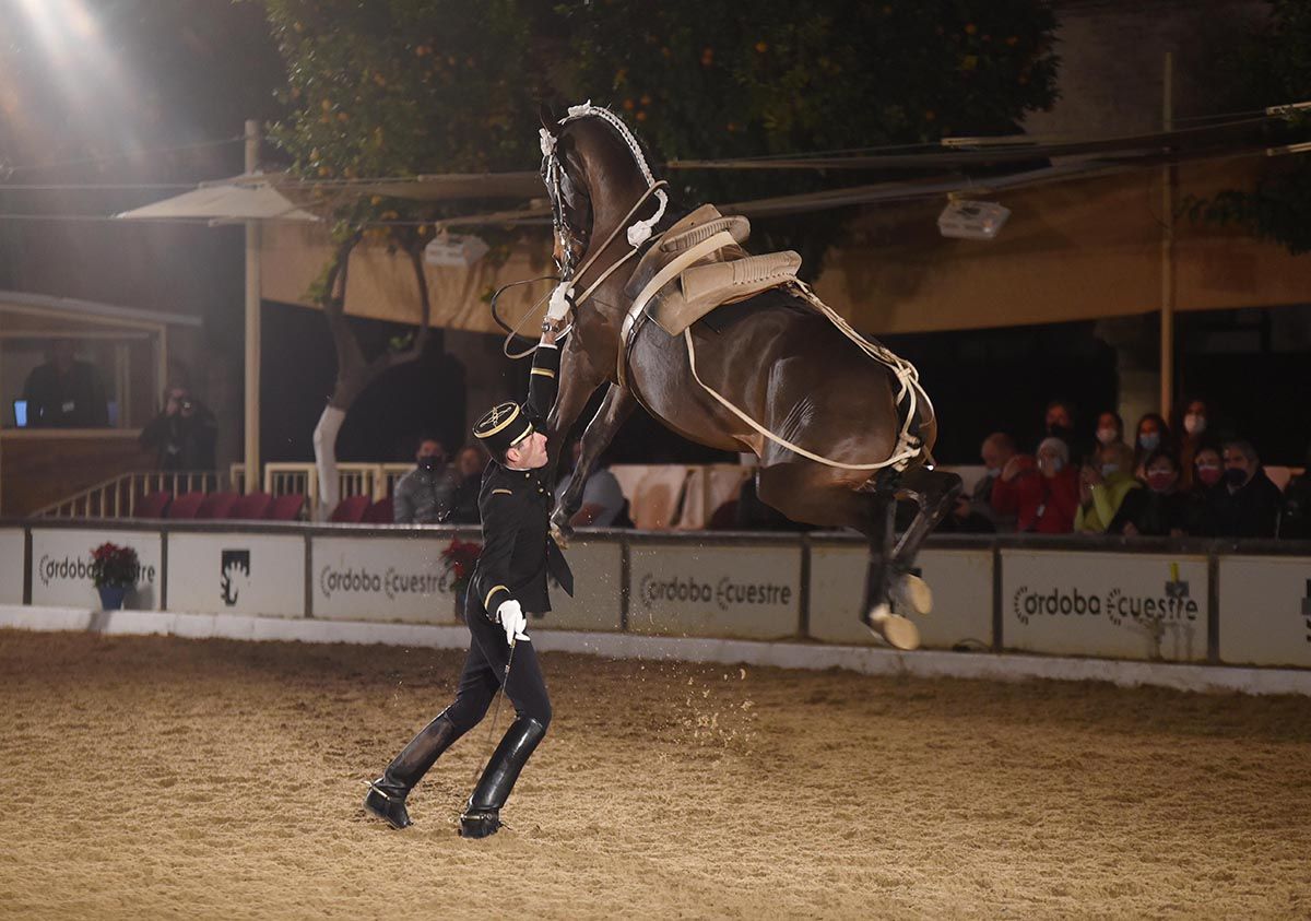 La escuela francesa de equitación Cadre Noir celebra en Córdoba el 25 aniversario de Cabalcor