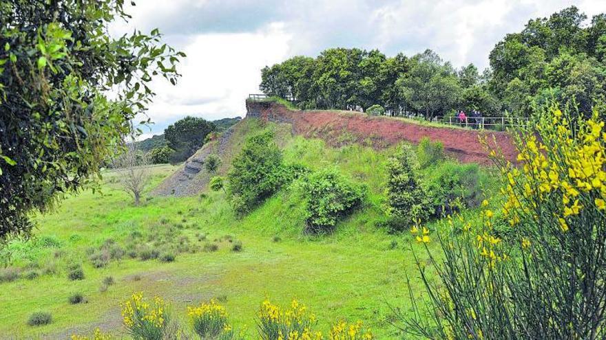 Una de les sortides va ser pel volcà de la Crosa per conèixer el seu entorn i el paper de l’aigua en aquest paratge. | DIARI DE GIRONA